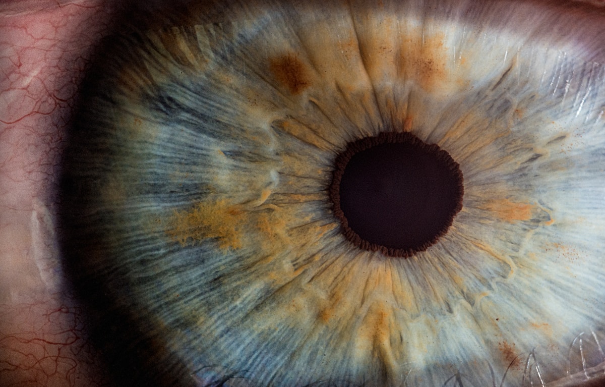 Your Eye Health services at Eyewise Opticians
