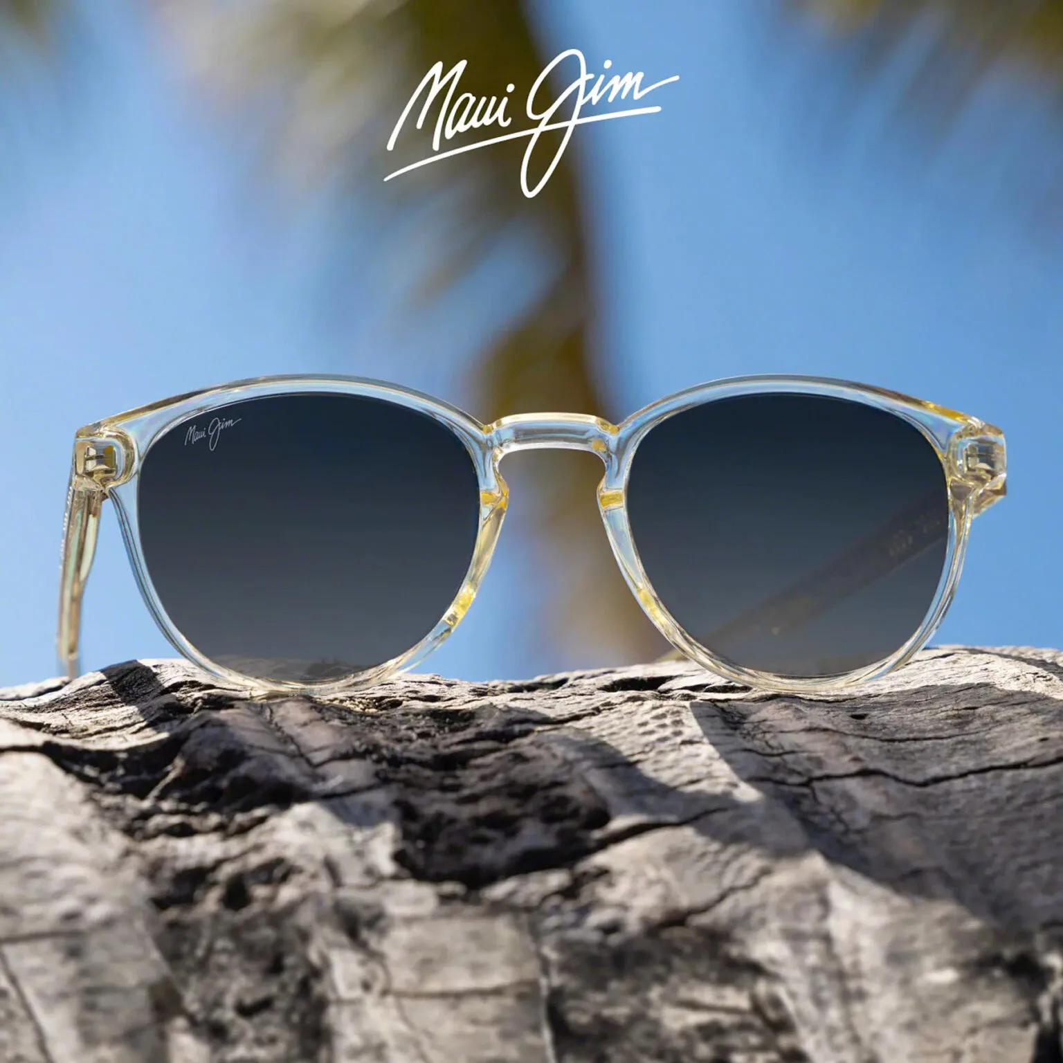 Maui Jim sunglasses from the Eyewise collection