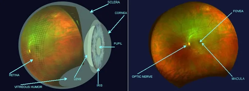 National Eye Health Care Week