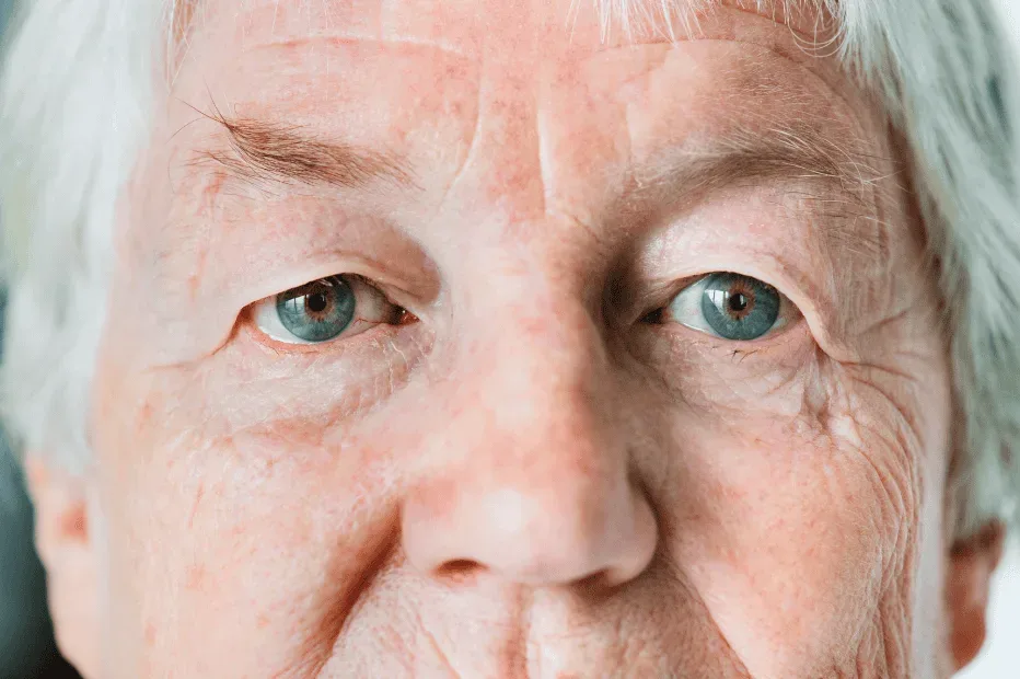 Making the most of your Eyes